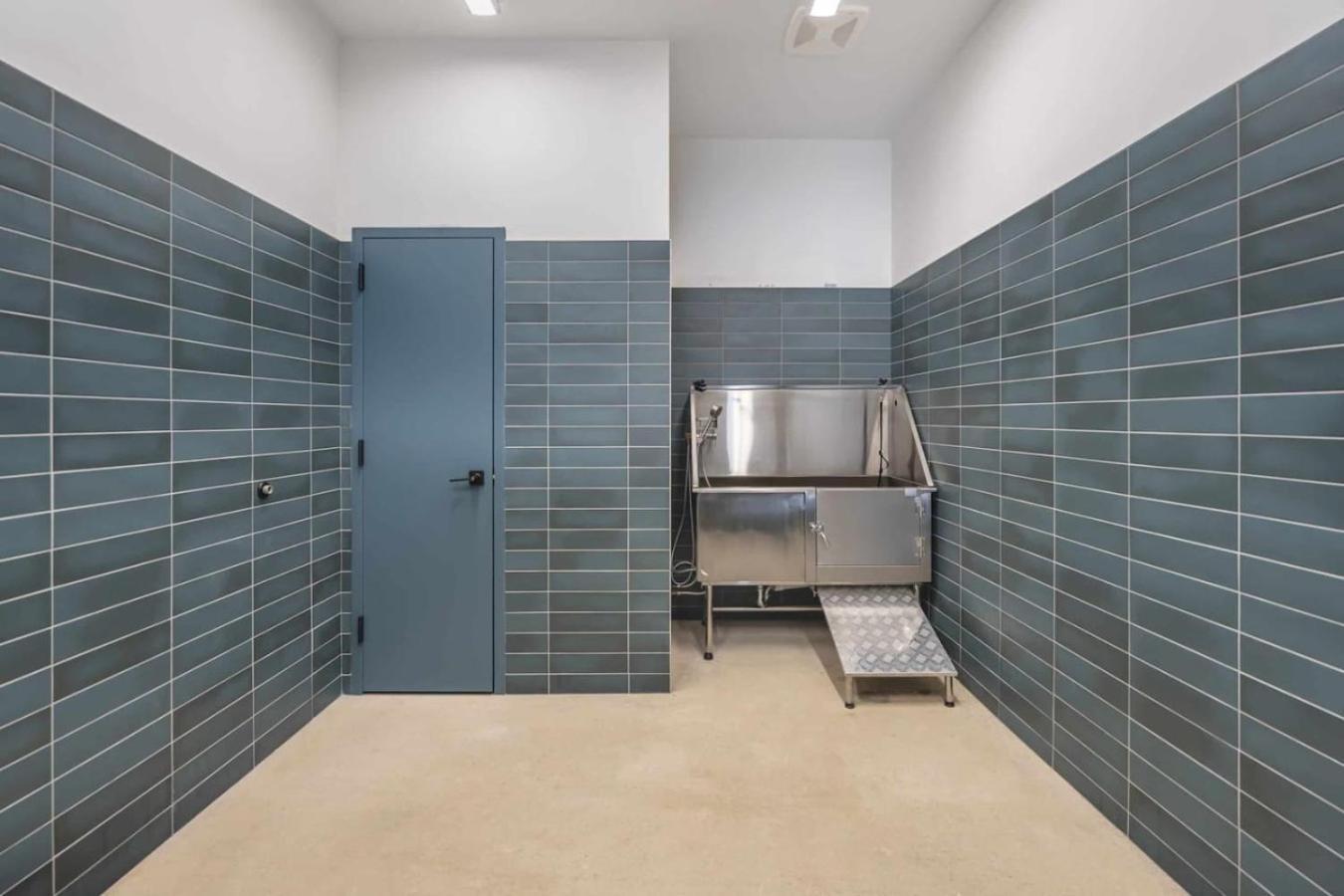 King Bed, Free Parking, Near Upmc, Pitt & Cmu Apartment Pittsburgh