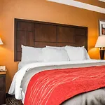 Comfort Inn Pittsburgh