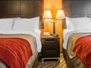 Hotel Red Roof - Mcknight Rd 2*