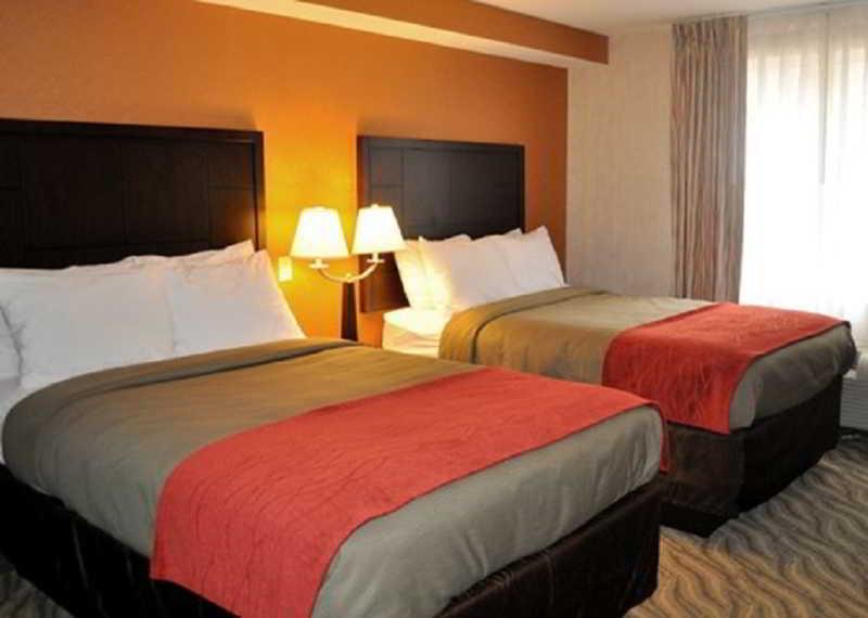 Hotel Red Roof - Mcknight Rd