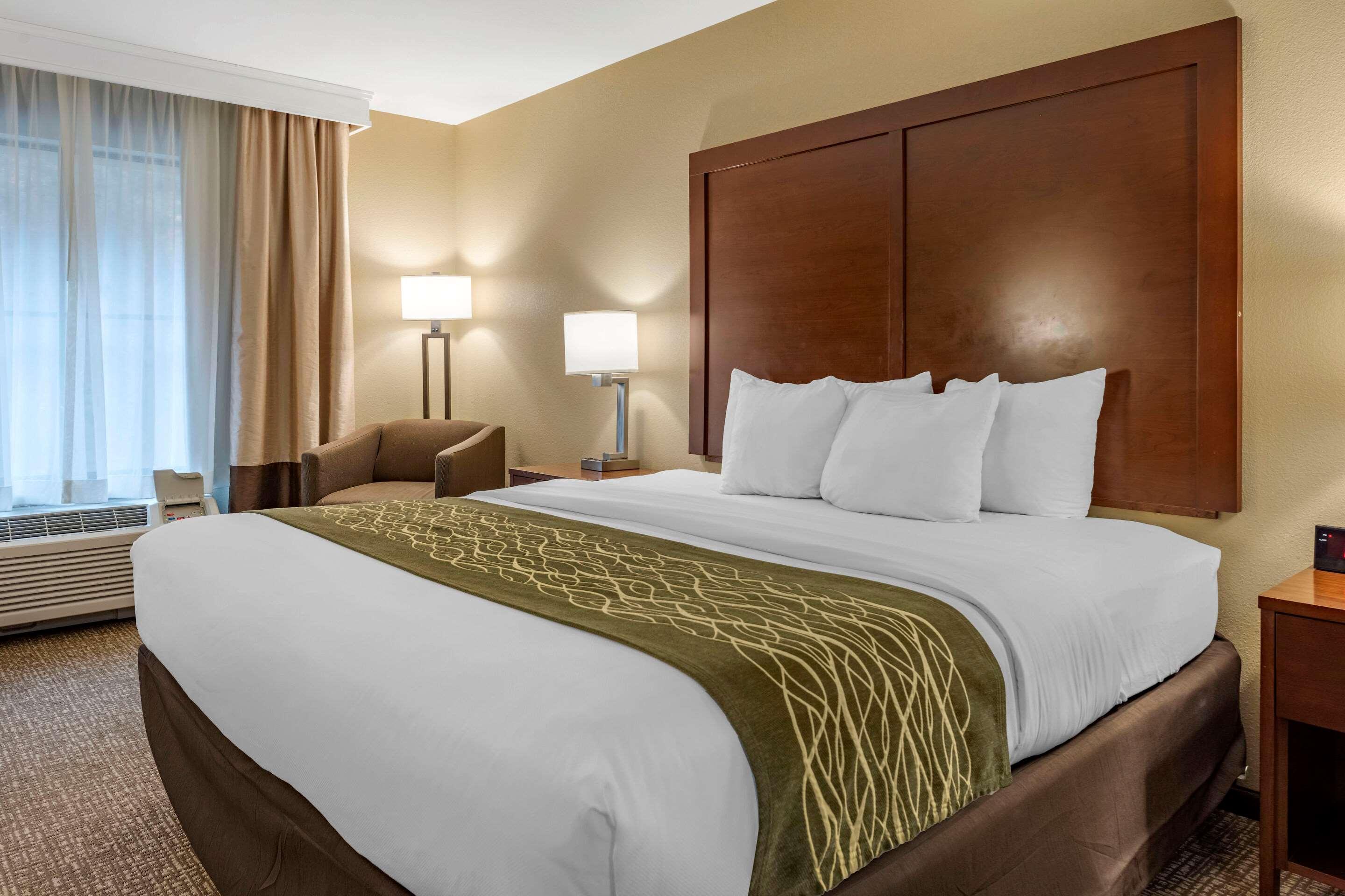 Hotel Comfort & South 3*