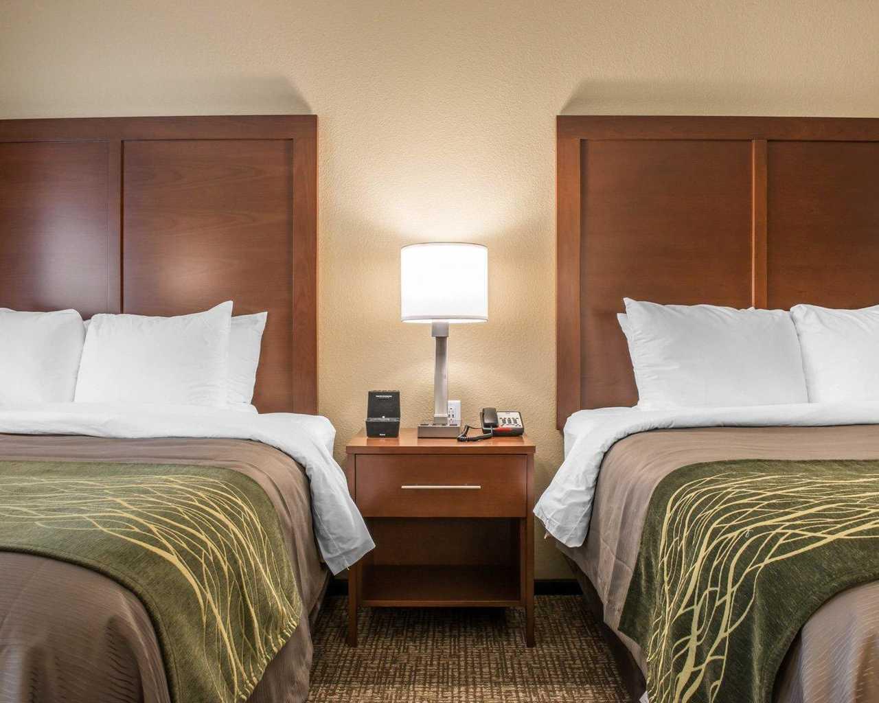 Comfort & South Hotel 3*