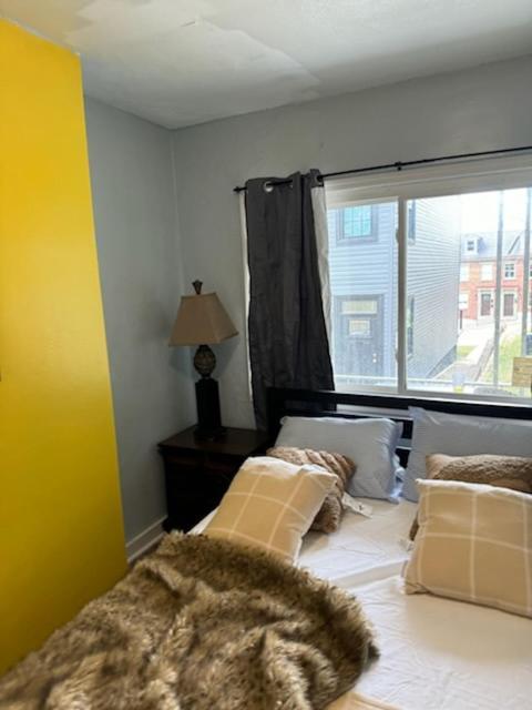 Homestay Downtown North Side Pittsburgh! Close To The Hospitals!