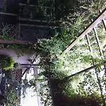 Morning Glory Inn