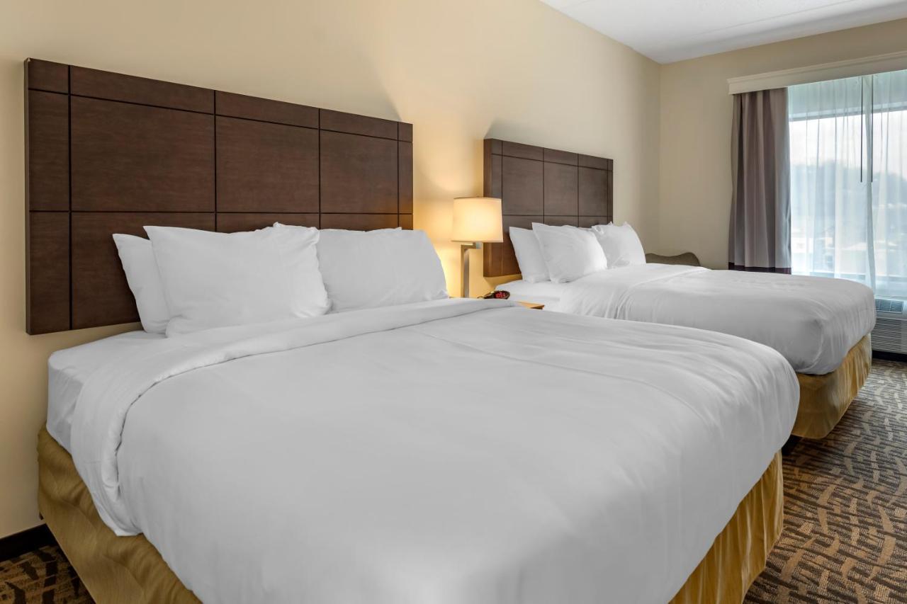 Comfort & Pittsburgh-northshore 3* Pittsburgh