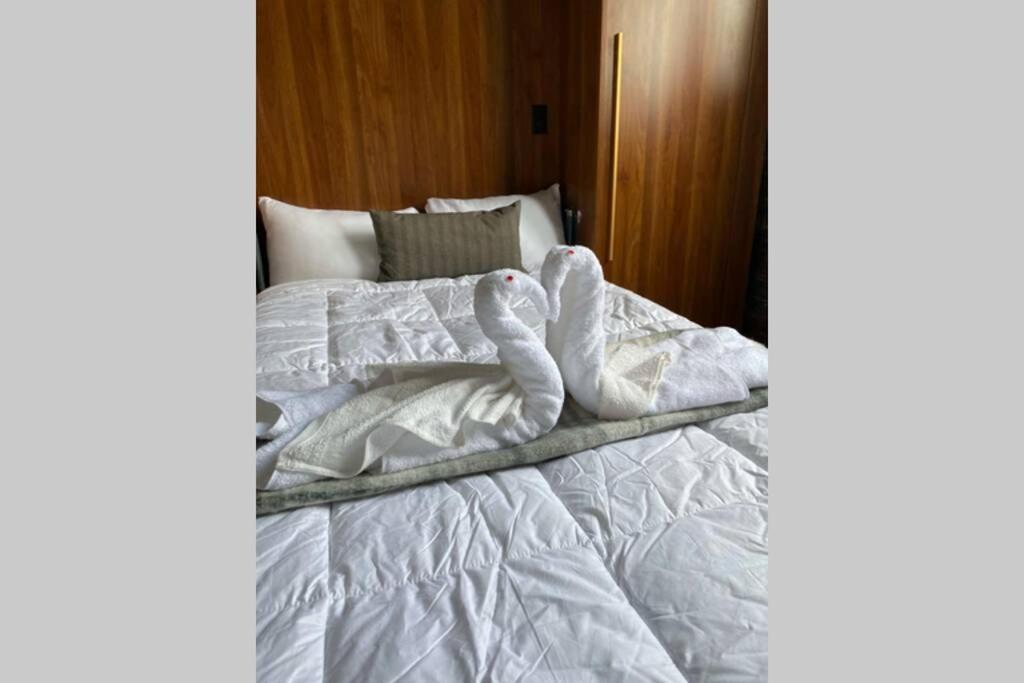 3e-cozy! Micro Apartment! In Oakland, Sleeps 1