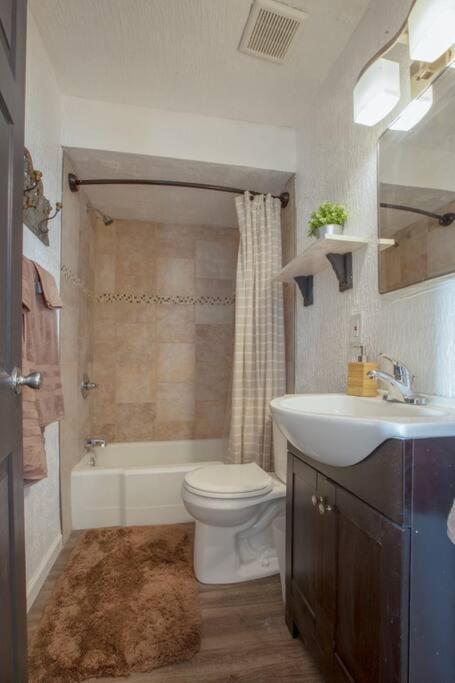 Beautiful One Bedroom Oasis Pittsburgh