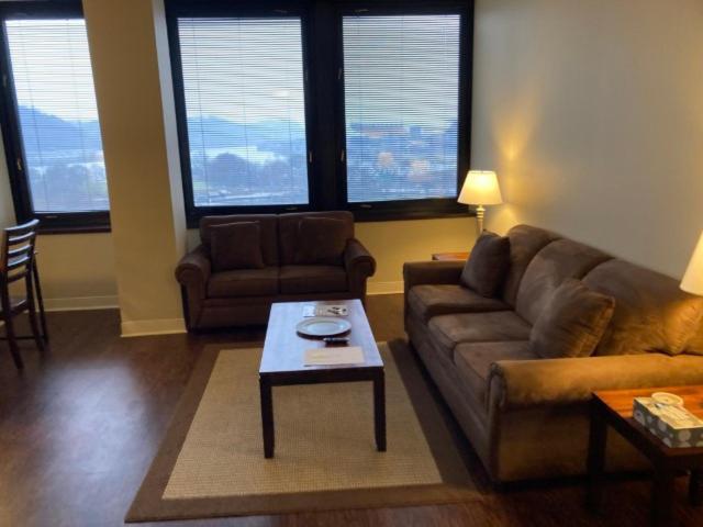 Apartment River View *