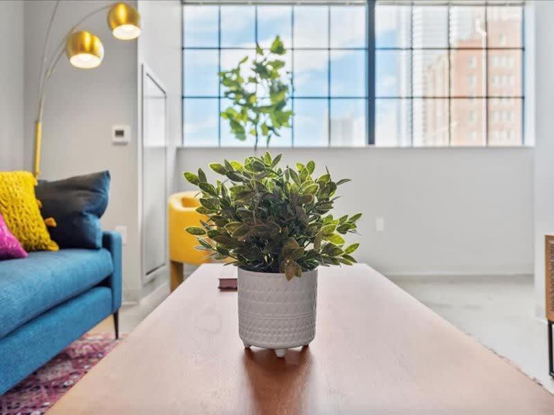 Apartment Cozysuites Modern 2br, Downtown