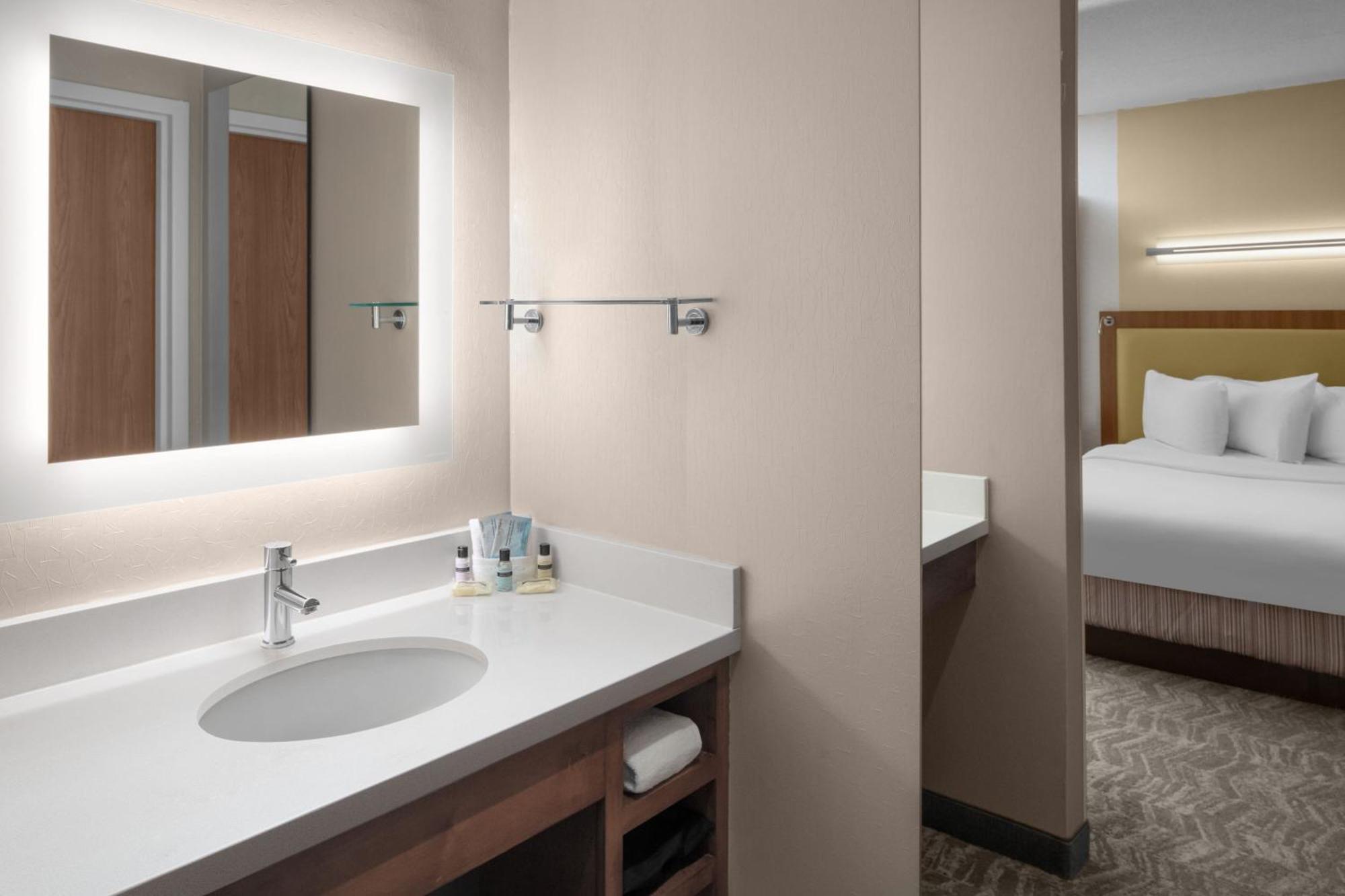 Springhill Southside Works 3* Pittsburgh