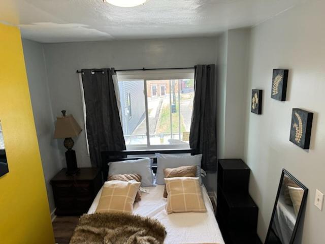 Downtown North Side Pittsburgh! Close To The Hospitals!
