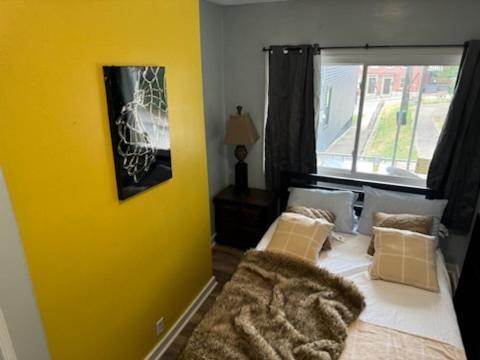 Downtown North Side Pittsburgh! Close To The Hospitals! Hospedagem domiciliar Pittsburgh