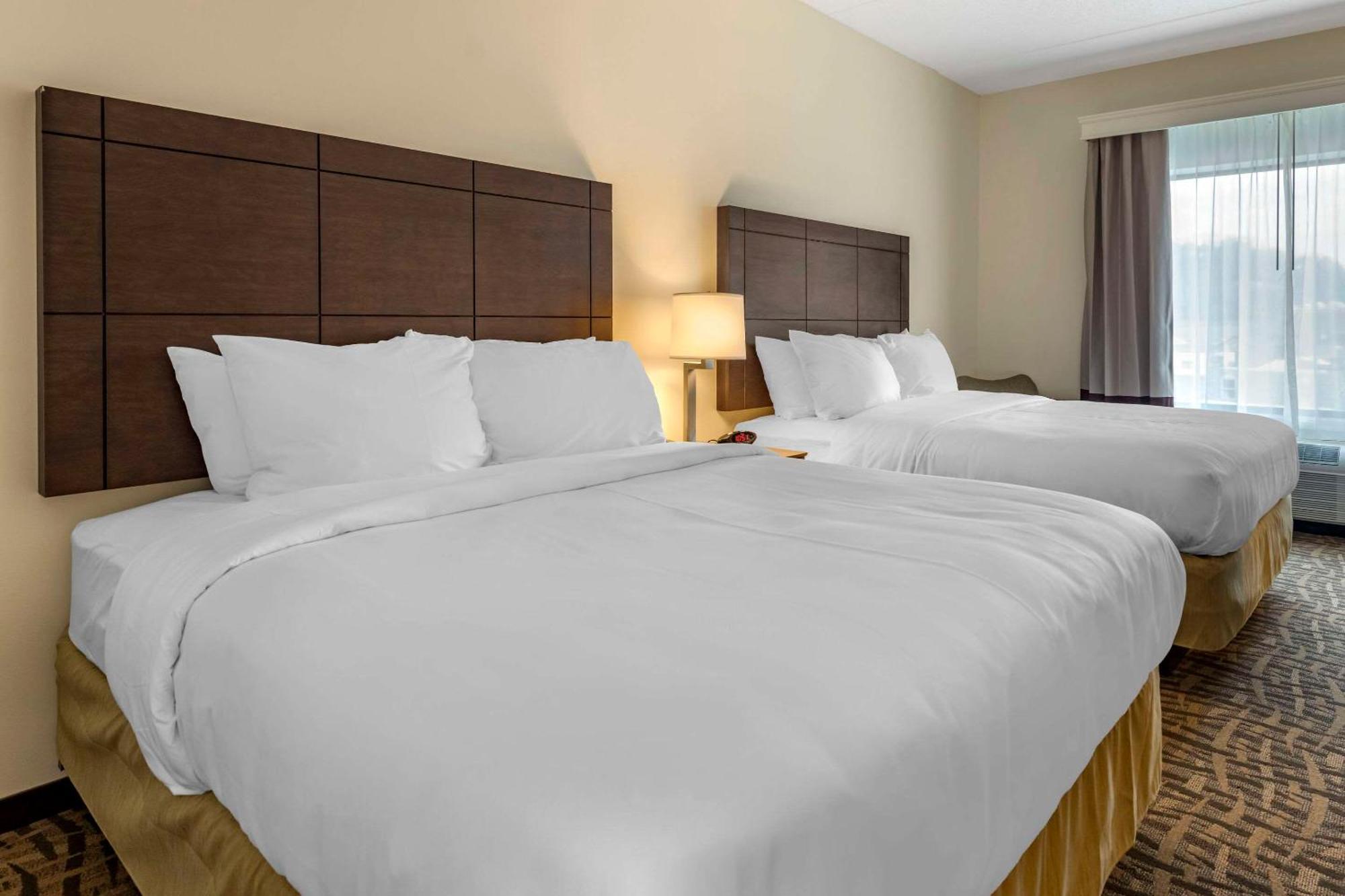 Hotel Comfort & Pittsburgh-northshore Pittsburgh