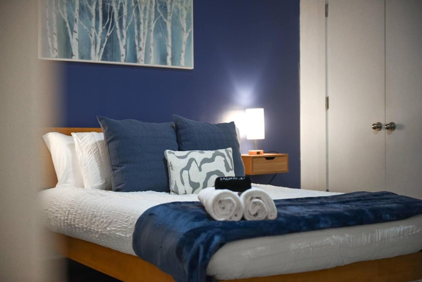 Apartment 1 Bedroom Downtown Pittsburgh With Best Roof Top View Pittsburgh