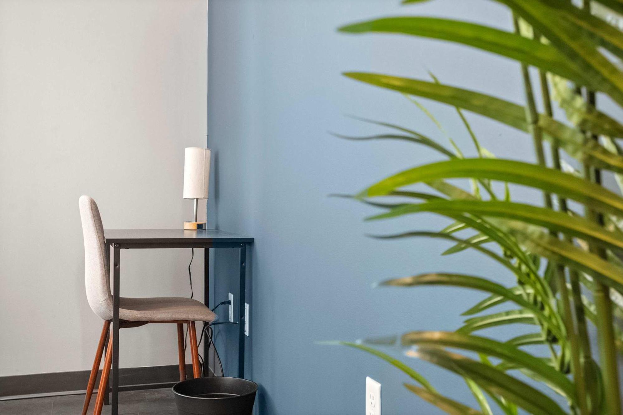 Apartment Cozysuites Modern 1br In Downtown Pitts #5 Pittsburgh