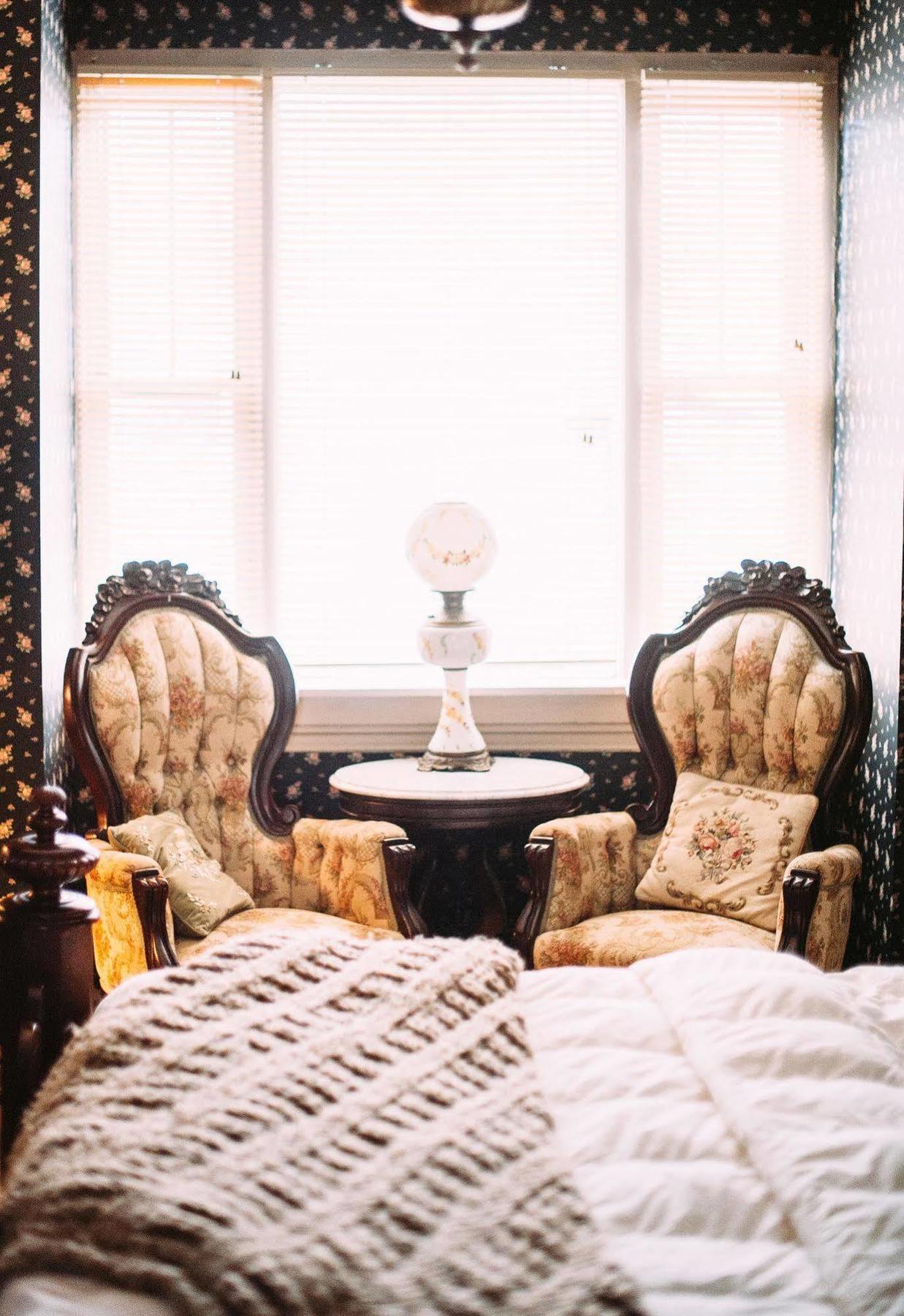 Morning Glory