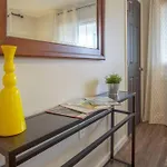 Beautiful One Bedroom City Oasis