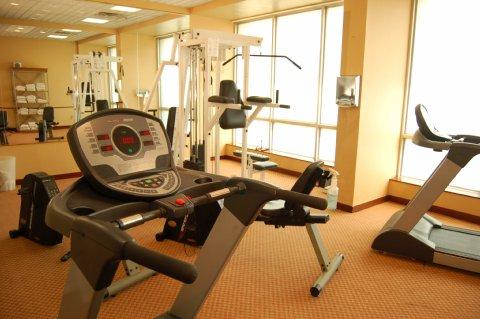 Hotel Holiday Inn Pittsburgh-International Airport