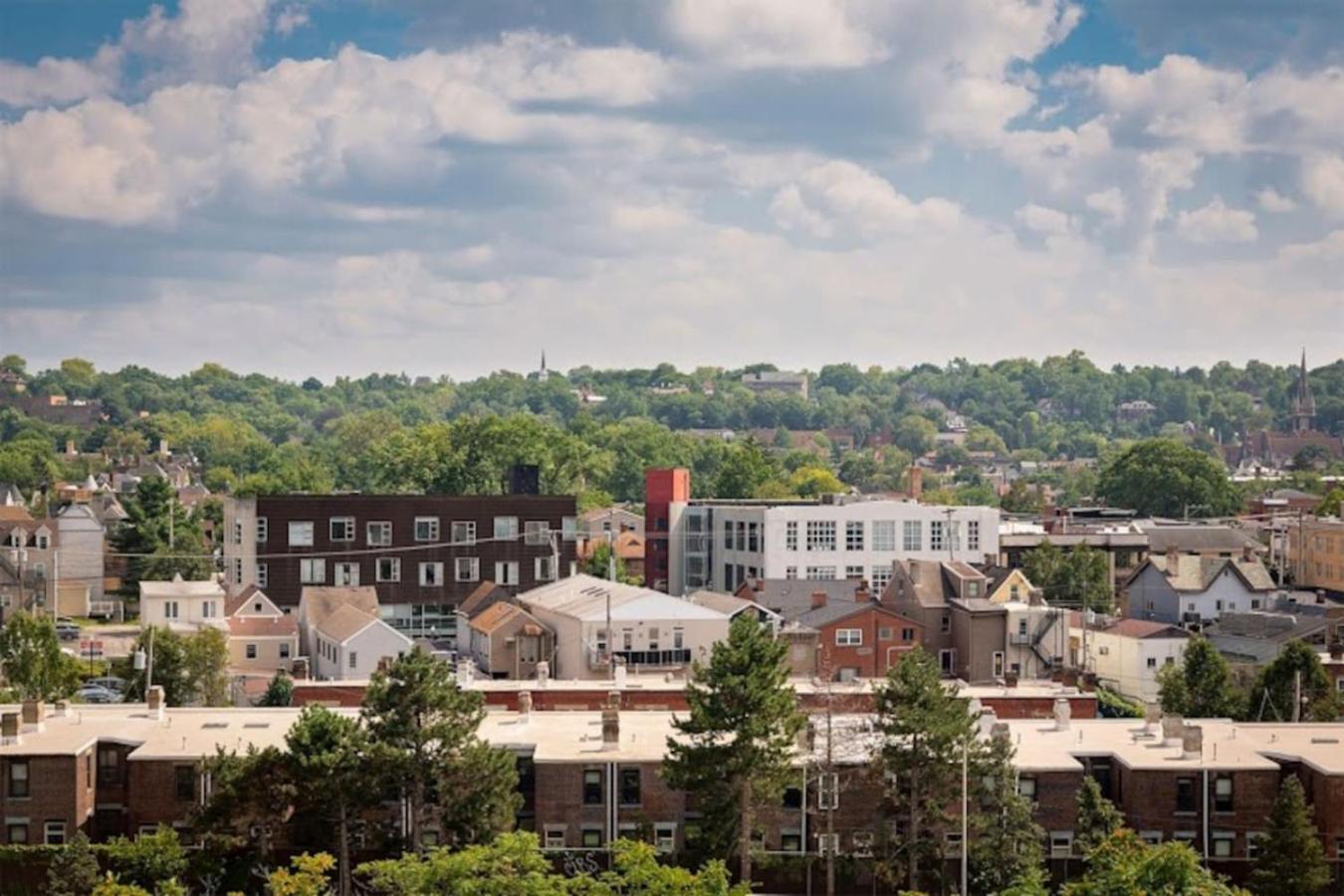 Lux King Bed Free Parking Pitt Cmu